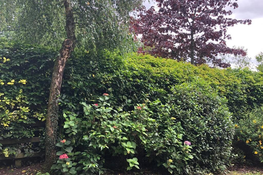 Rhubarb Cottage Enniskillen Bagian luar foto