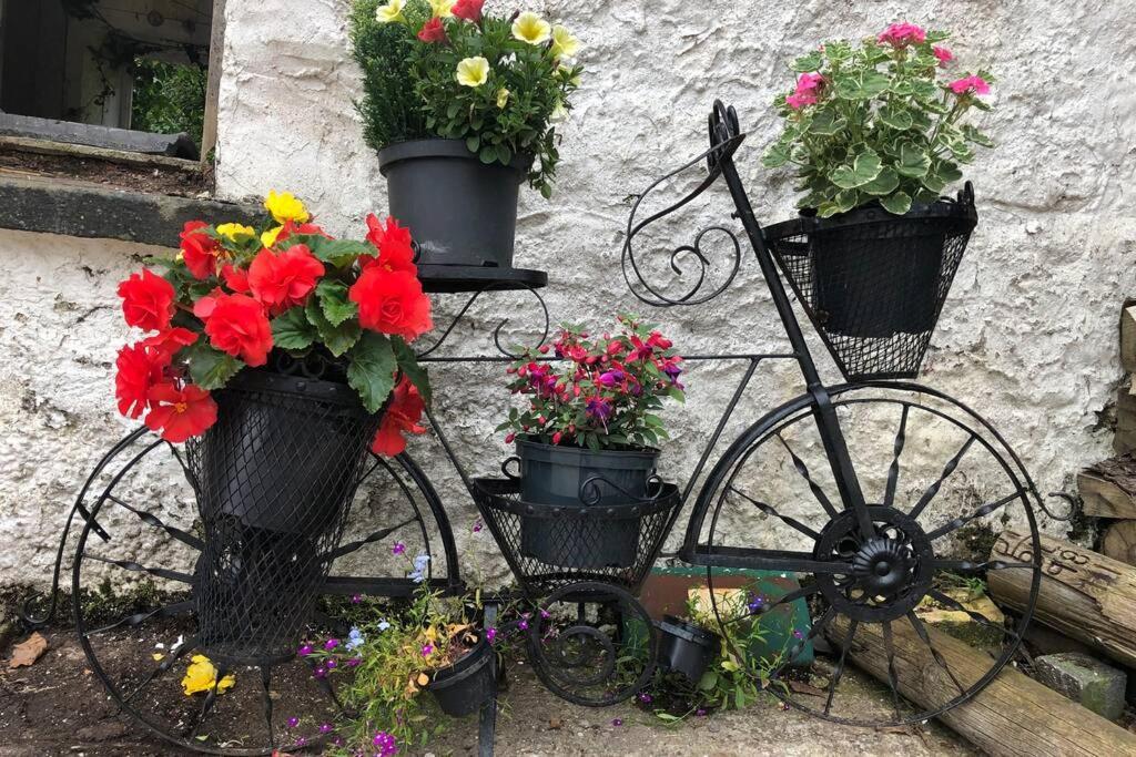 Rhubarb Cottage Enniskillen Bagian luar foto