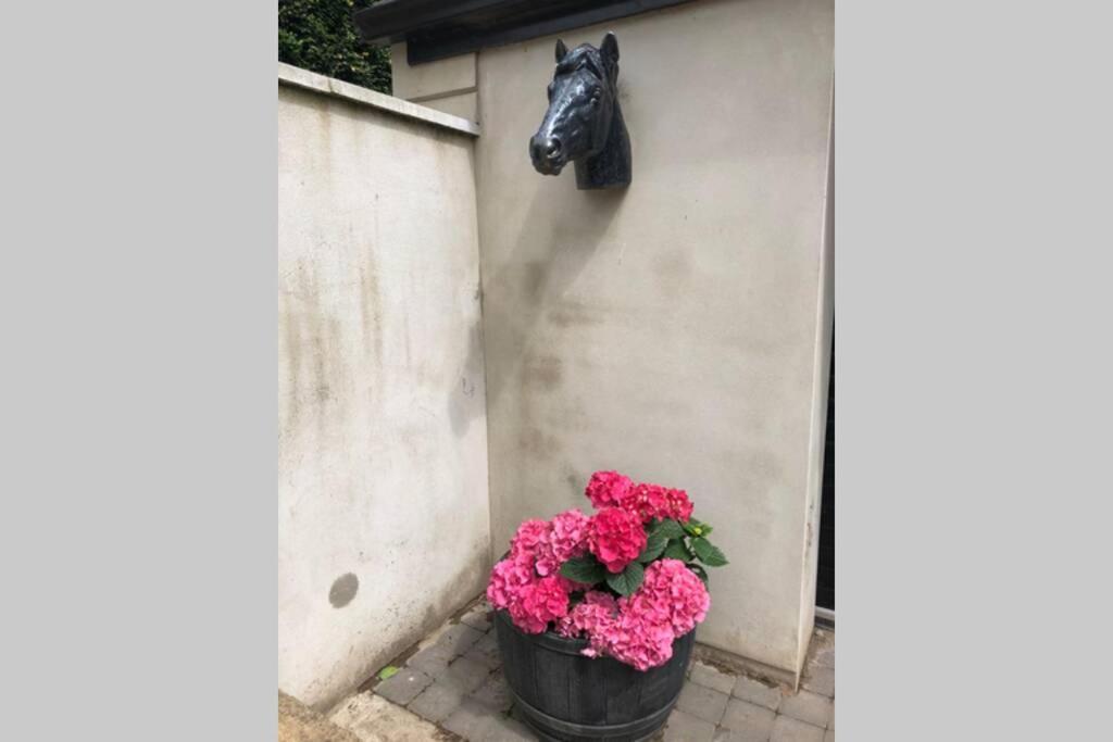 Rhubarb Cottage Enniskillen Bagian luar foto