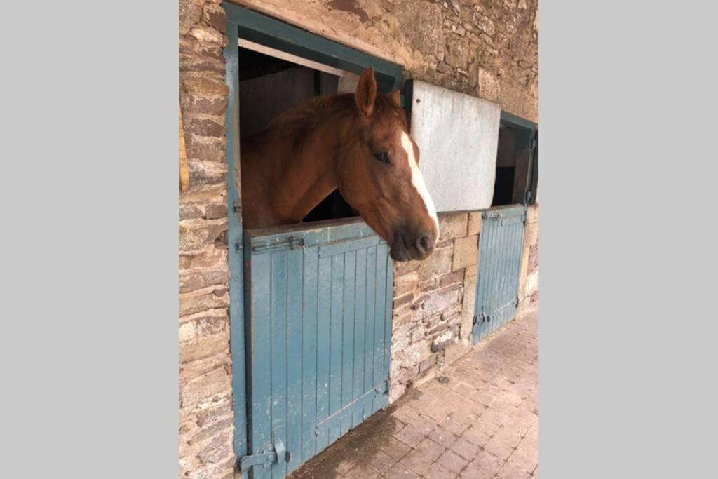 Rhubarb Cottage Enniskillen Bagian luar foto
