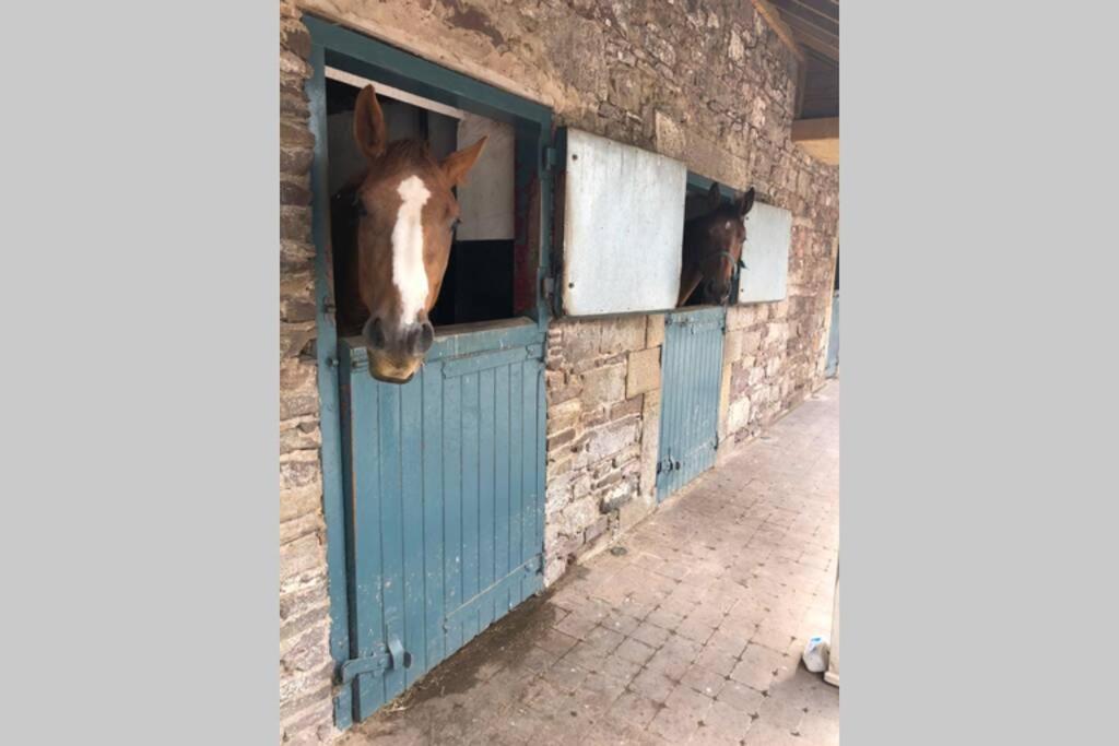 Rhubarb Cottage Enniskillen Bagian luar foto