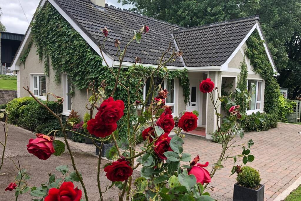 Rhubarb Cottage Enniskillen Bagian luar foto