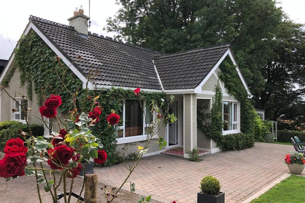Rhubarb Cottage Enniskillen Bagian luar foto